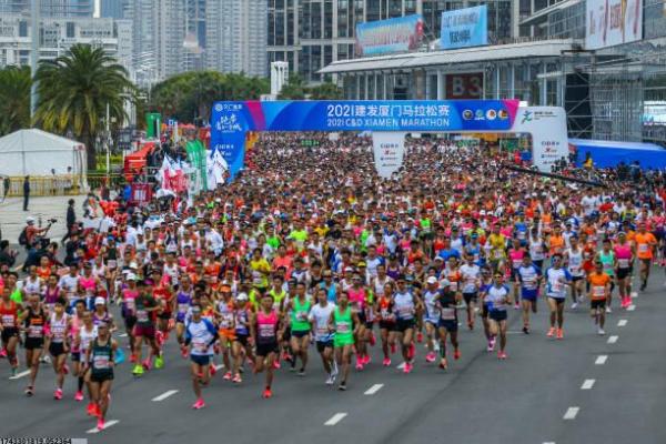 德运体育篮球培训机构课程与报名指南(图1)